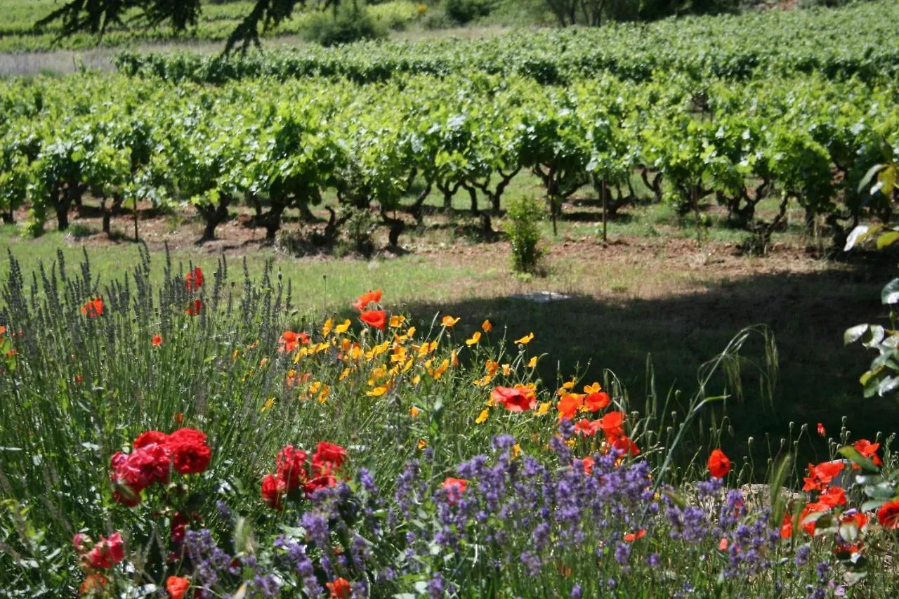 Apartmán Les Vignes De Terrisse Entrecasteaux